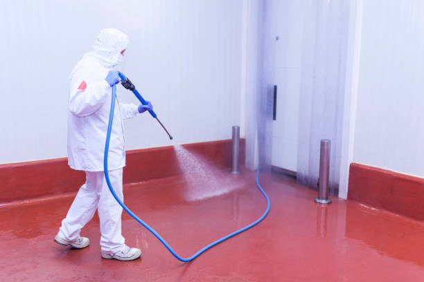 Pre-Holiday Cleaning in Amity Gardens, PA